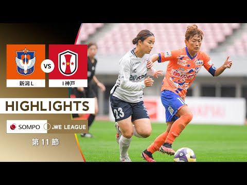 bg-highlight