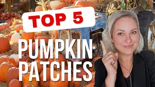 Which is the Best Pumpkin Patch Chicago