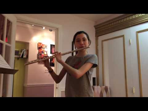 Drigo Serenade Cadenza Suzuki Flute Book 3