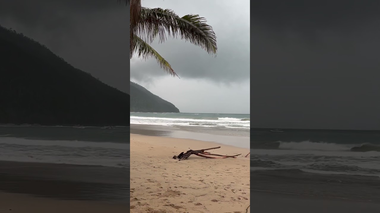 YouTube Short thumbnail