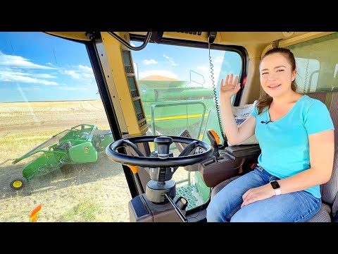 , title : '1st Day of Wheat Harvest 2022!  Staying Positive in A Massive Drought!'