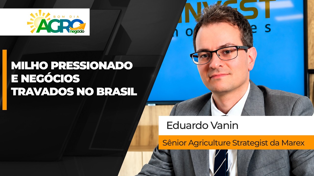 Pressão sobre os preços do milho se intensifica no mercado brasileiro e trava novos negócios