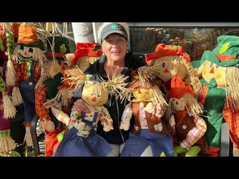 Fall Festival at Nunan’s & Cafe Sarina