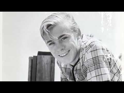 Secrets & Scandals Behind the Scenes of Flipper (1964)