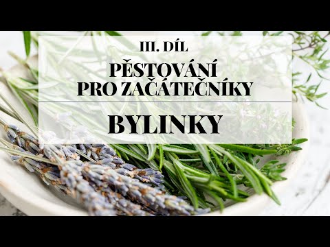 , title : 'Pěstování bylinek - Pěstování pro začátečníky 3. díl'