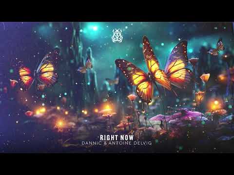 Dannic & Antoine Delvig - Right Now [TOMORROWLAND MUSIC]