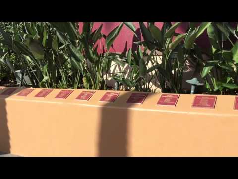 Bill Cosby's Statue Is Removed From Walt Disney Theme Park