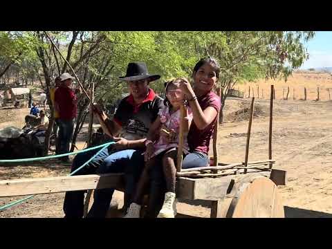 2ª Carreta de Carros de bois,Lagoa de Domiguinhos. Pindaí-Ba #Sertãobaianoéshow