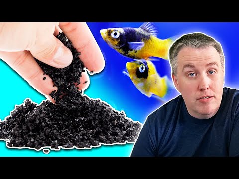 5 Things You Need to Know About Using Carbon In Your Fish Tank
