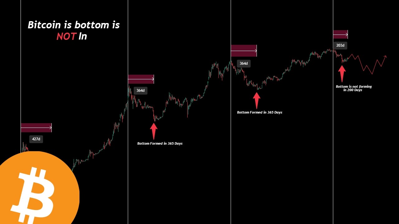 0xConcepts — Bitcoin analysis on YouTube