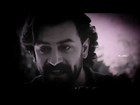 Multi-couples || Khontek Embareh🖤