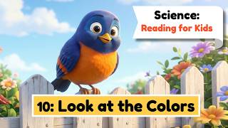 I'm a Scientist 10: Look at the Colors | English for Kids