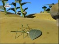 BabyTV Vegibugs Stick Insect
