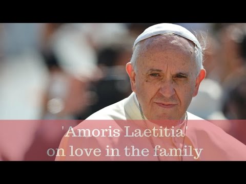 Click to Watch the Pope Francis: Real ecumenism puts Christ over division video