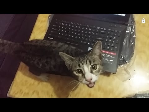 MSI GP62 6QE Leopard Pro Unboxing Video