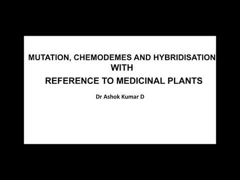 Mutation, Chemodemes and Hybridisation