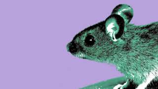 Point A to Point B (Infinity) - Modest Mouse abridged cover