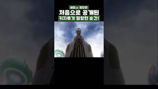 원피스) 처음으로 공개된 키자루가 절망한 순간! #onepiece #원피스