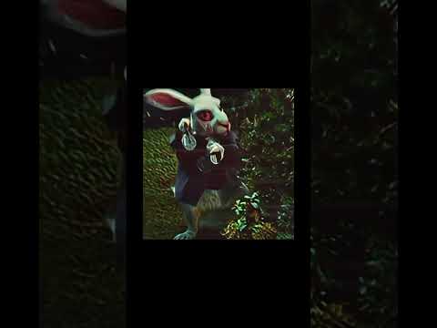 All Roads Lead To Rome #tiktok #ytshorts #memes #fyp