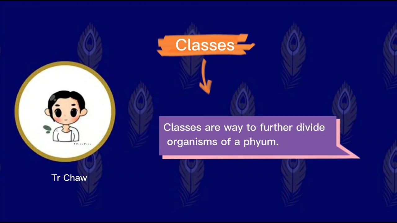 Lesson 5 - Classification of living things
