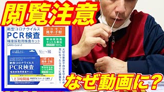 【閲覧注意コロナ】PCR検査のやり方。毎週やってます。種類はいろいろ今日は何にする？