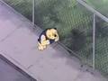 Heathcliff The Movie Part 3