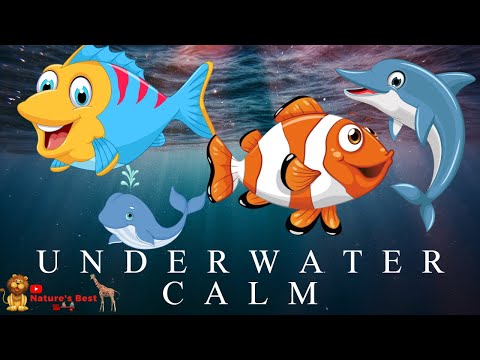 Cute Fishes Enjoying in Water with Relaxing and Calming music @BStvNaturesBest