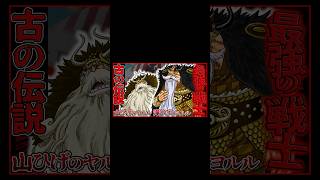 【伝説の戦士】元巨兵海賊団 船長 山ひげのヤルル を紹介！ #ワンピース #ワンピースキャラを30秒で紹介
