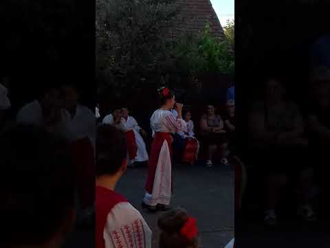 Iulia Danci de la Sanmartinu Maghiar, ruga din Pustinis