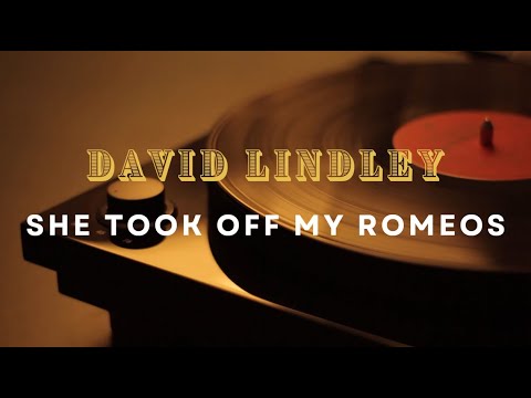 She Took Off My Romeos - David Lindley