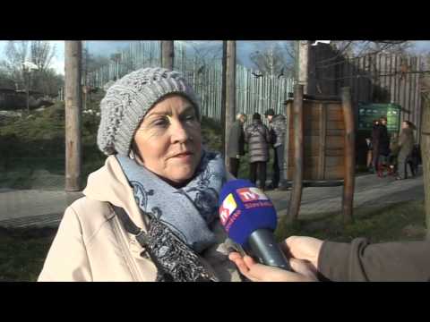 TV Slovácko: Hodonín 20.12.2013