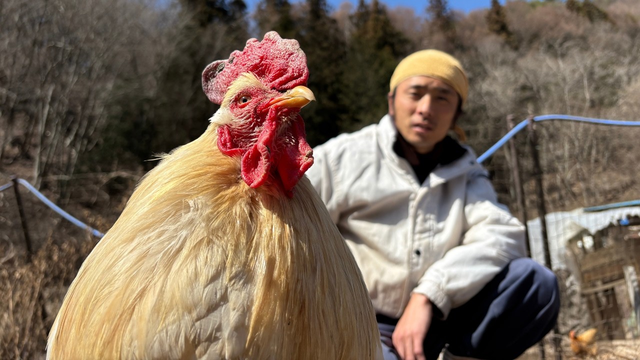 もうすぐ9歳！まずはゆる～く最年長の白ボン様とお散歩します～【通販サイトが新しくなりました！】