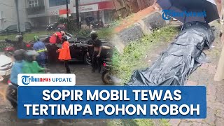 Detik-detik Pohon Tumbang Timpa Mobil Mewah di Pondok Indah Diterjang Angin, Sopir Tewas Seketika