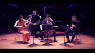 The occult beauty of the finite