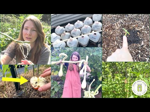 7 WEIRD Garden Practices That 10X My Production