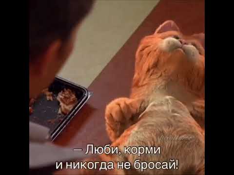 Гарфилд любить кормить и никогда не бросать картинка