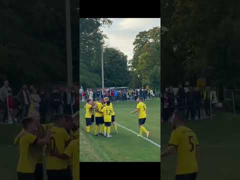 1:0 SV Planitz : FSV Zwickau Tor durch Fynn Riedel ,Vorlage Pascal Simon #fußball #bundesliga