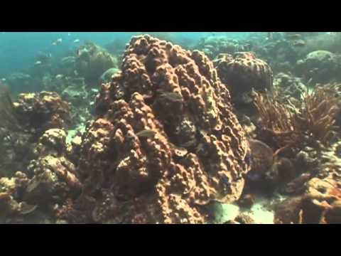 Who Killed Angel City on Bonaire