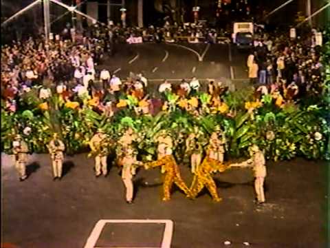 1987 Palmyra String Band - Jungle Joe's Swingin' Safari
