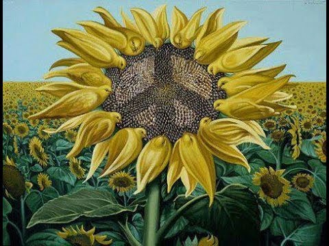 Quimérica Laxitud  -Bloque-