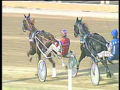 Trotto 19/05/2017 - 7ª corsa