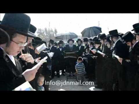 Motzoei Yom Kippur 5776 With Premishlan Rebbe