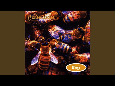 Lift Me Up - Guardian