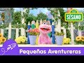 Sésamo El Misterio De La Planta Que No Florece