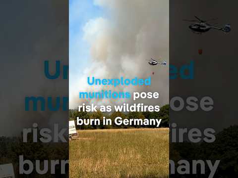 Unexploded munitions hamper Germany wildfire response | DW News