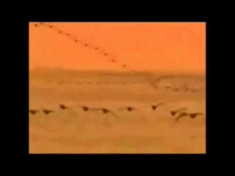 "Tu sei mio scudo e rocca Eterna"