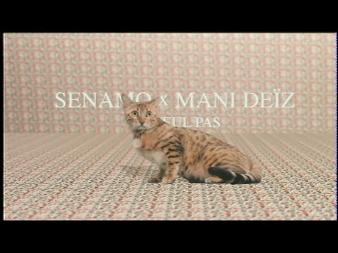 Un seul pas - Senamo & Mani Deïz