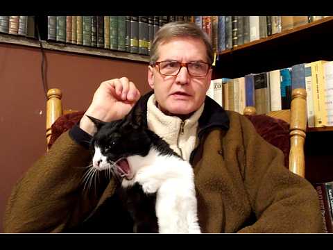 What to Know and Do BEFORE Starting to Study a Foreign Language to Increase Your Odds of Learning