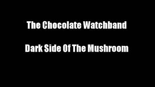The Chocolate Watchband - Dark Side Of The Mushroom
