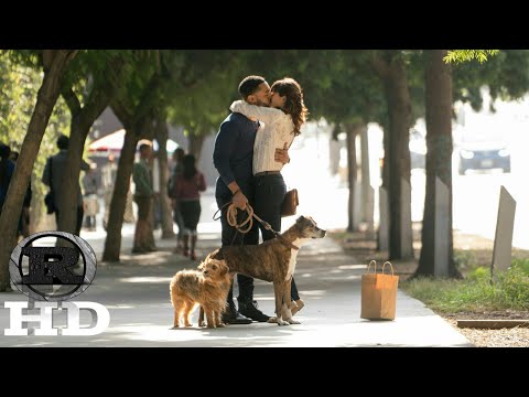 Dog Days | 2018 Offiial Movie Trailer